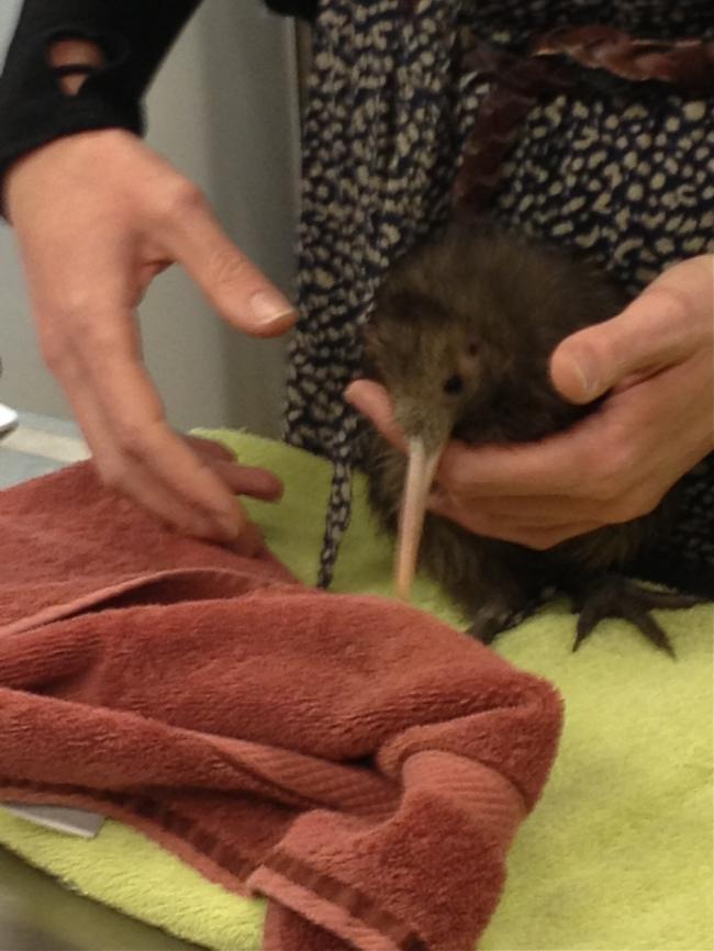 click on photo to return to Rotary Club Photo menu